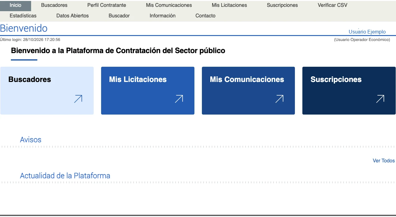 Plataforma del Estado, paso 2: Busca la licitación